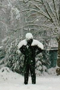 Slovenia: winter wonderland.