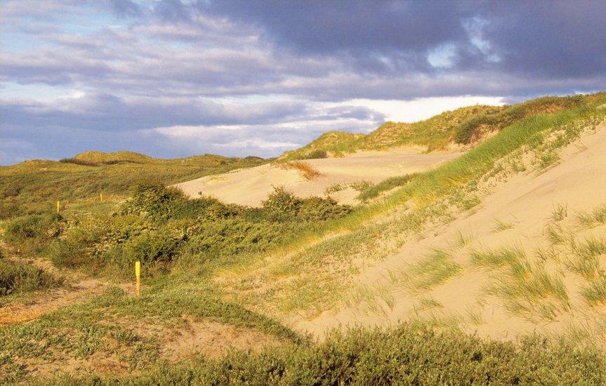 VVV Schiermonnikoog
