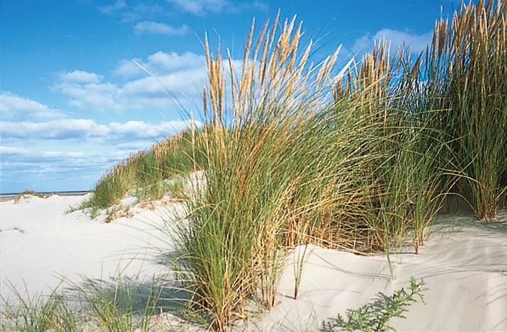 Bezoekerscentrum Schiermonnikoog