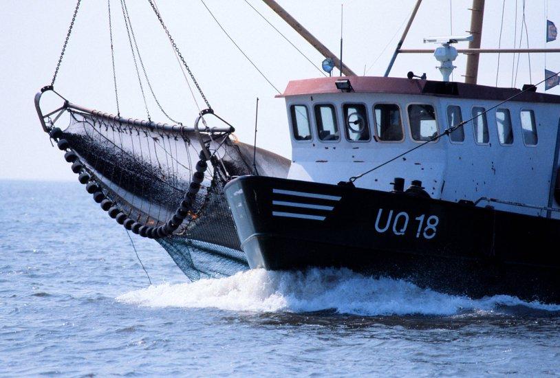 Lauwersmeer National Park