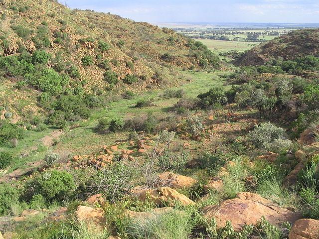 Klipriviersberg Nature Reserve