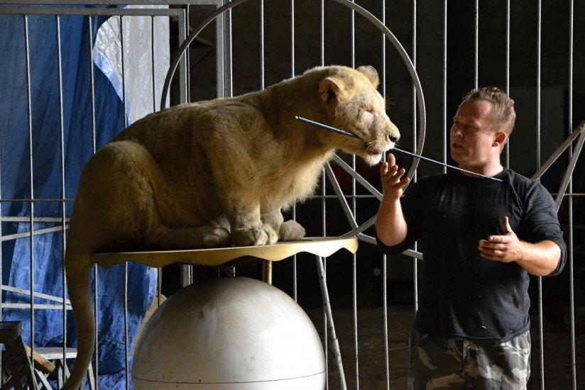 Private Zoo Park Ringelland