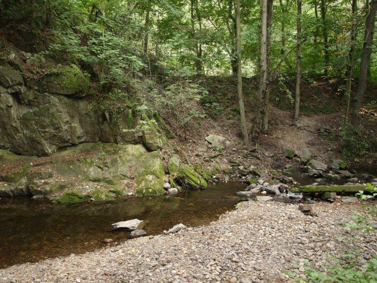 Vrchlice Valley