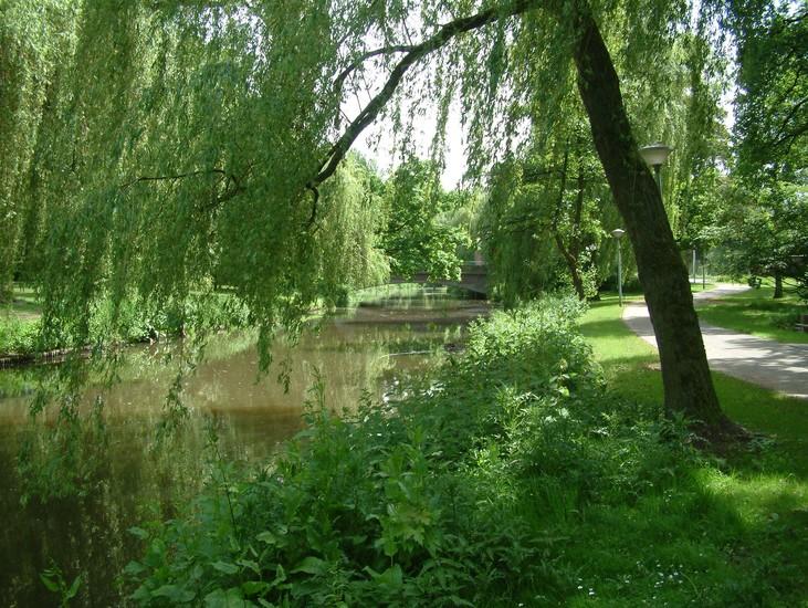 The Dommel