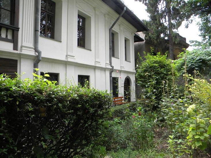 Theodor Pallady Museum