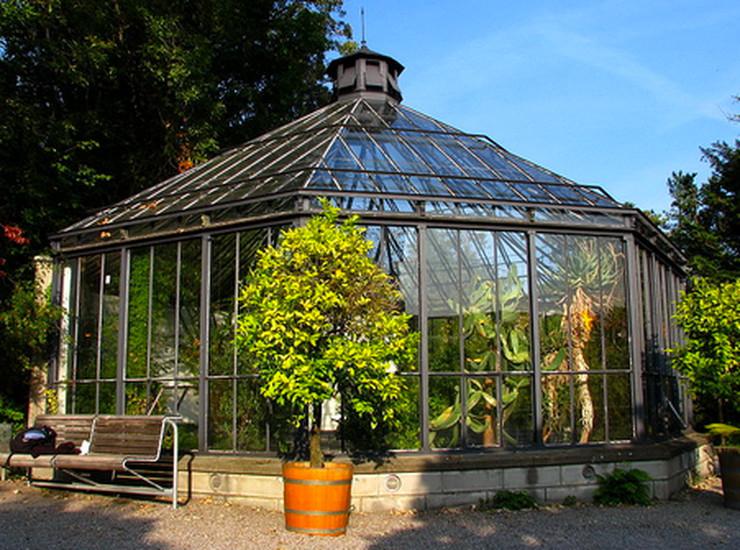 Alter Botanischer Garten