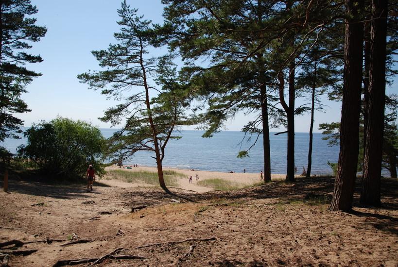 Saulkrasti Beach