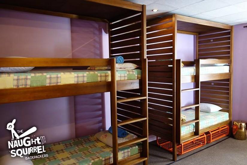 Naughty Squirrel Backpackers Hostel