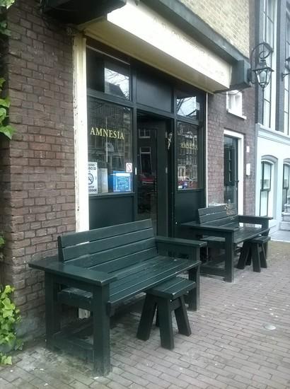 Amnesia