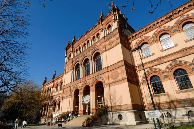 Museo Civico di Storia Naturale di Milano