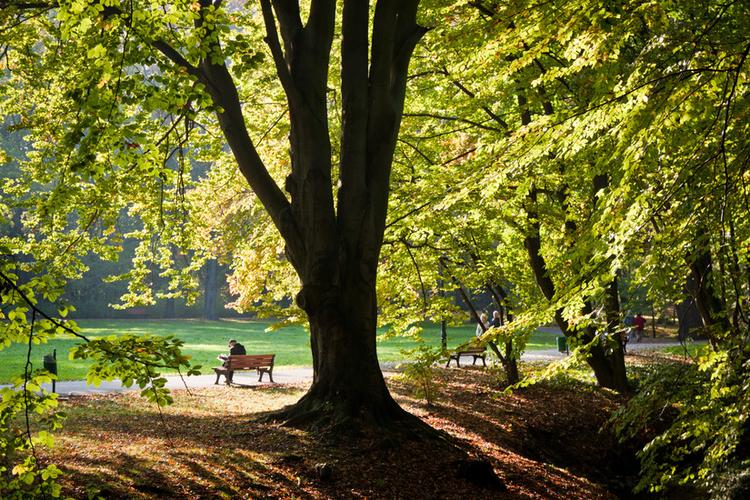 Sołacki Park