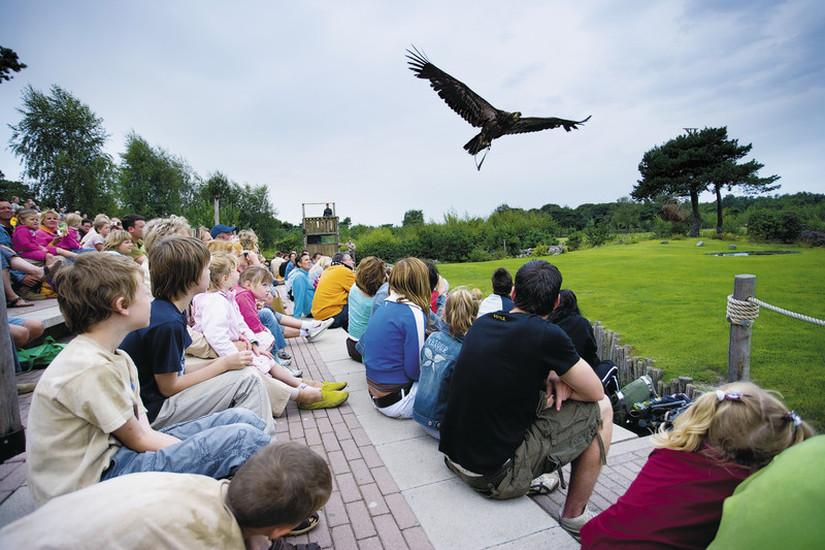 Beekse Bergen Safari Park