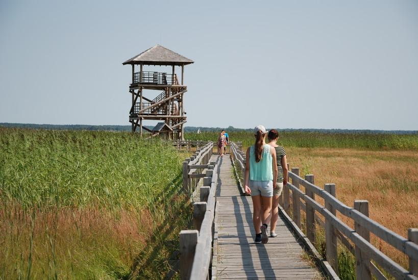 Lake Liepāja Nature Boardwalk