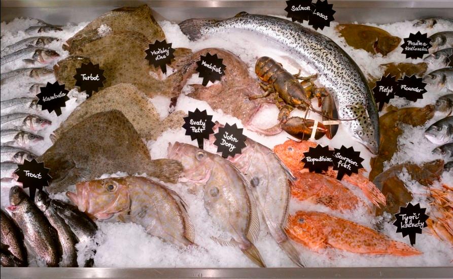 Ambiente Pasta Fresca