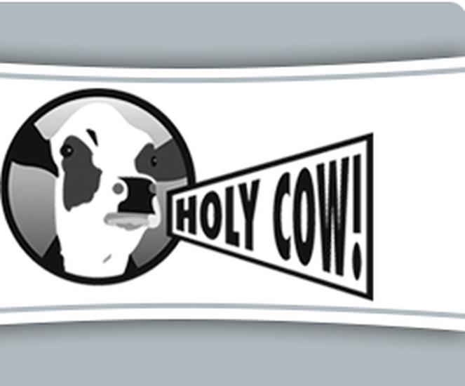 Holy Cow