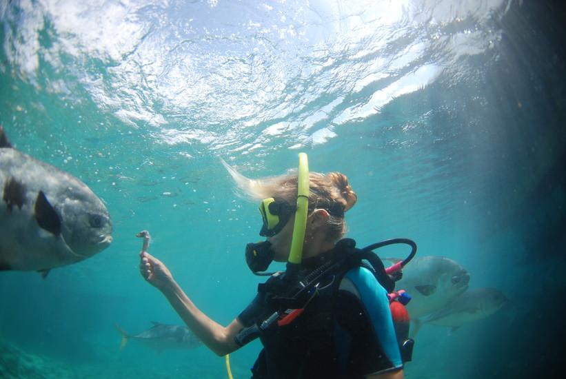 Scuba Lodge Dive Center Pietermaai