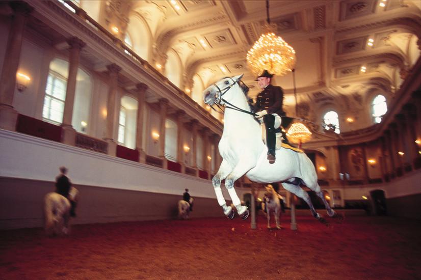 Spanische Hofreitschule 