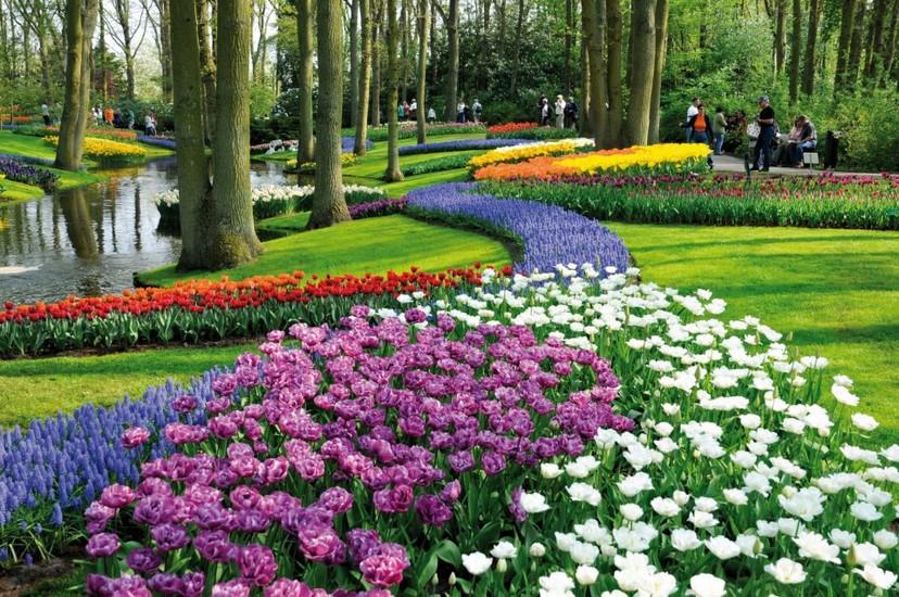 Keukenhof Park & Gardens