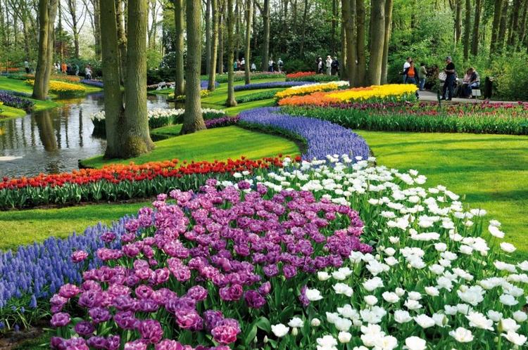 Keukenhof Park & Gardens