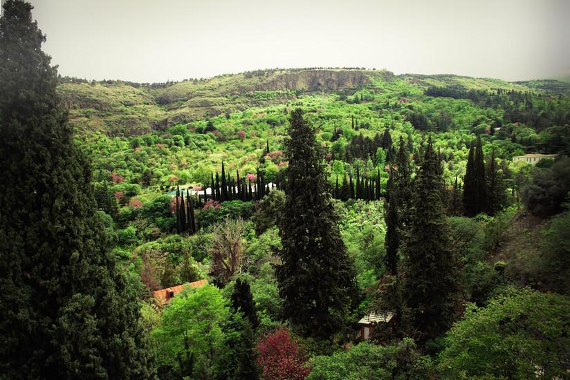 The National Botanical Garden of Georgia