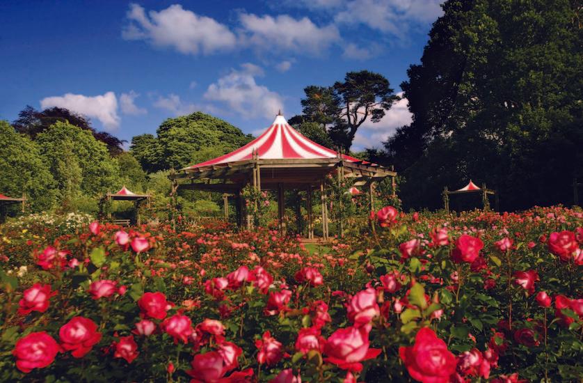 Sir Thomas and Lady Dixon Park