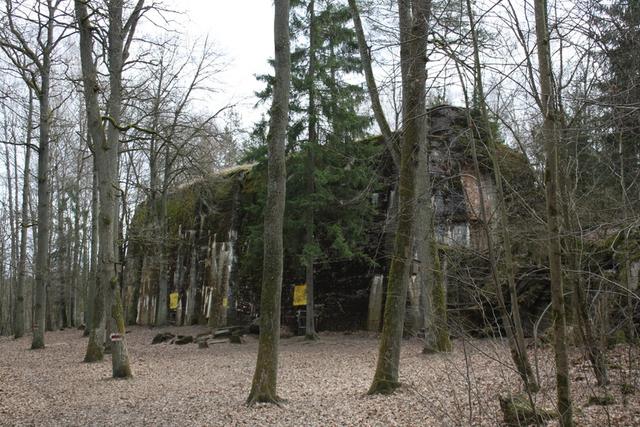 Wolf's Lair