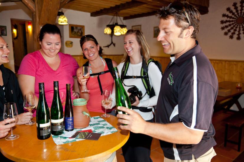 Discover Vienna Tours