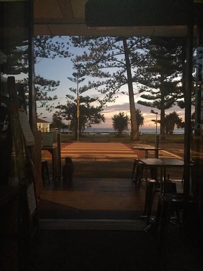 Black Sheep Espresso Baa