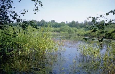 Landgoed Huis ter Heide