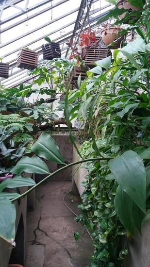 University Botanical Gardens