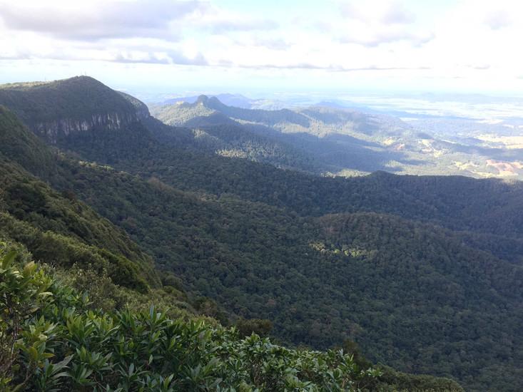 Springbrook National Park