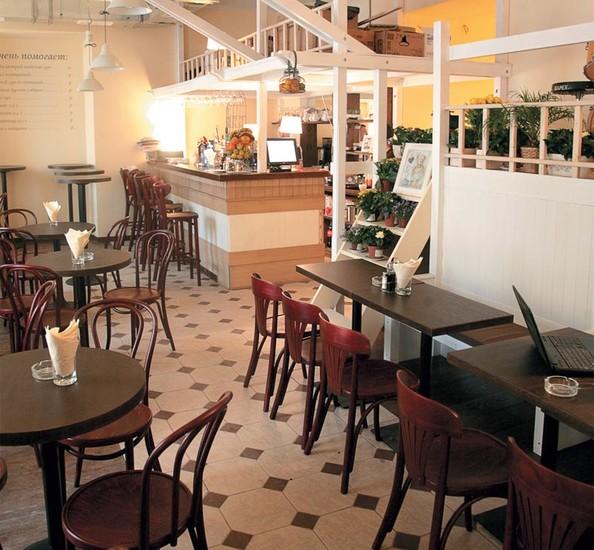 Бобры и утки