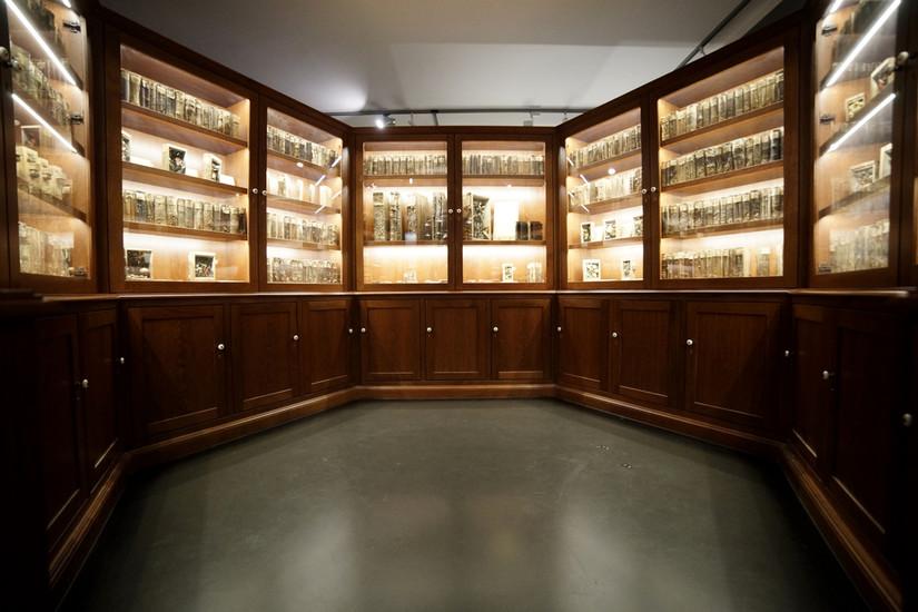 Naturkundemuseum