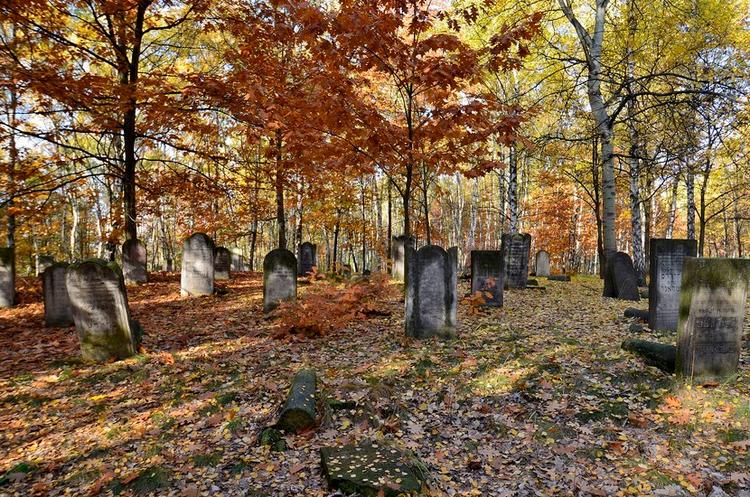 Bródno Jewish Cemetery