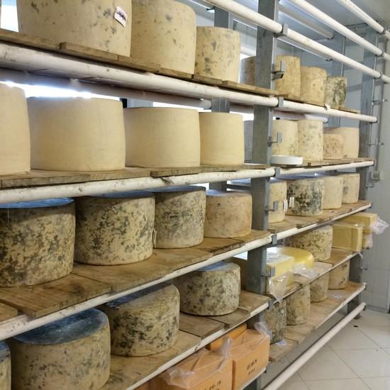 Pure Artisan Cheese Factory