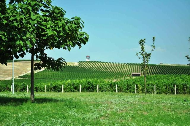 Villa Yustina Winery