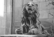 Kamianyi Lev