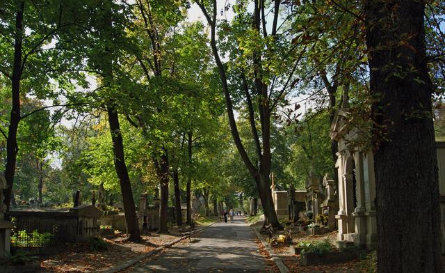 New Podgórze Cemetery