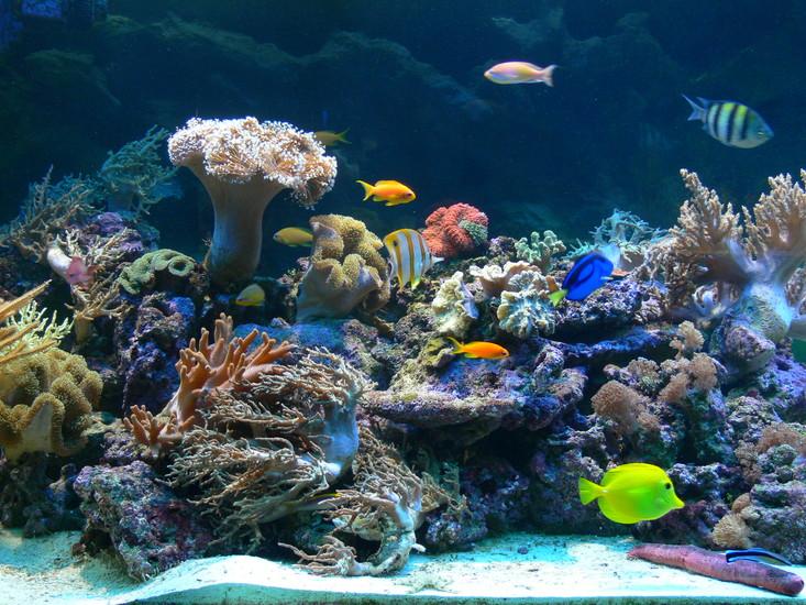 Gdynia Aquarium