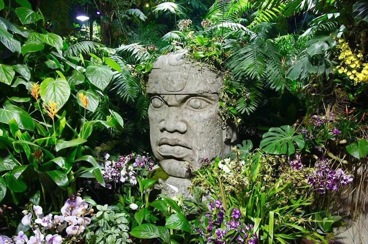 Apothecary Garden