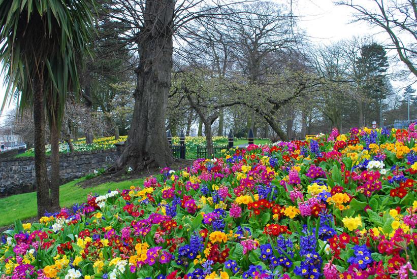Ormeau Park