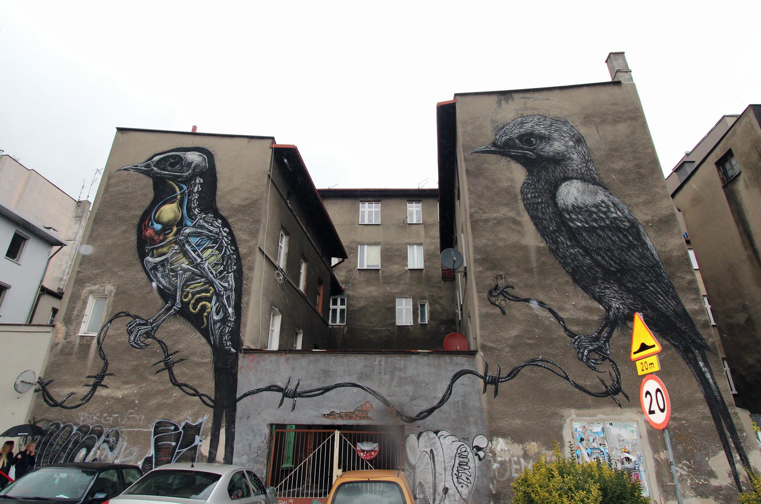 ROA Birds