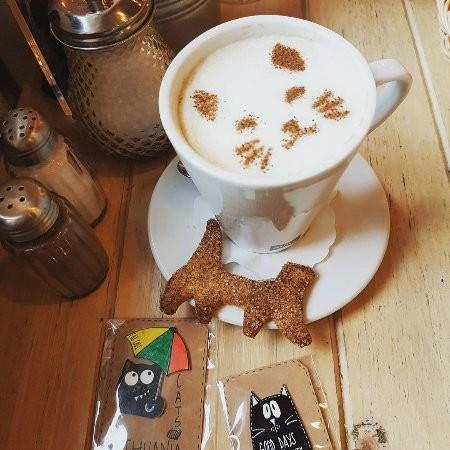 Cat Café
