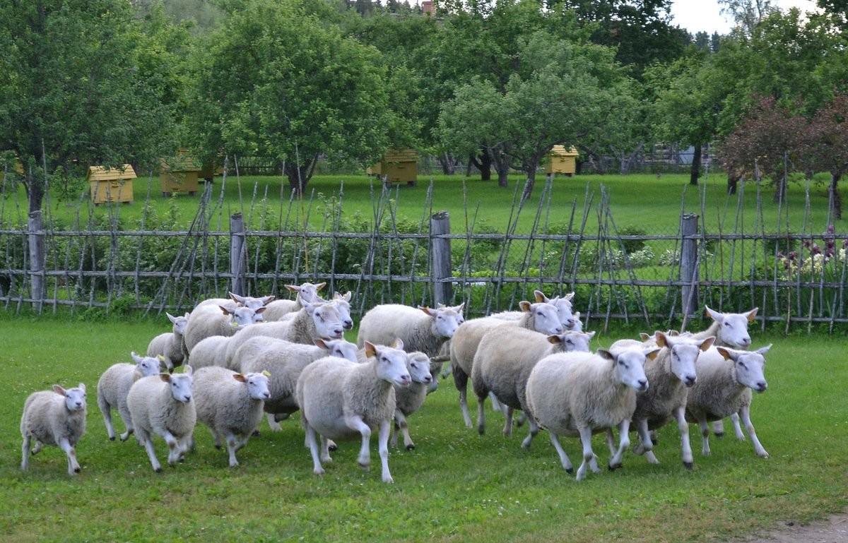 Farm Museum of C. R. Jakobson
