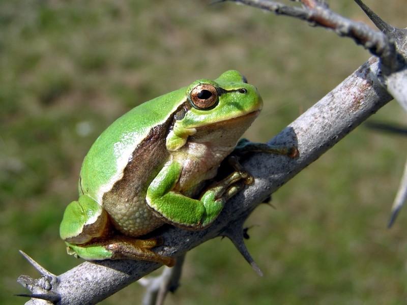 Regional Natural History Museum
