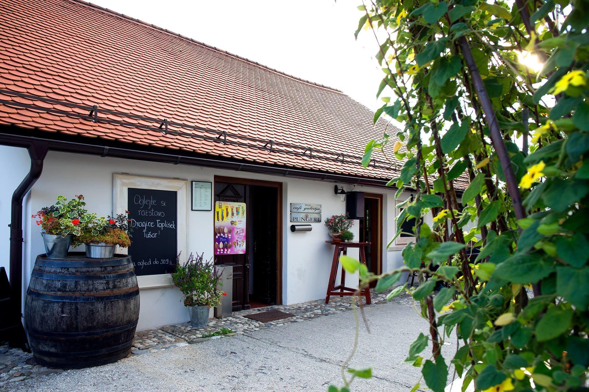 Cafe Galerija Pungert