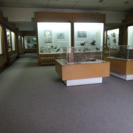 Museum of Natural History