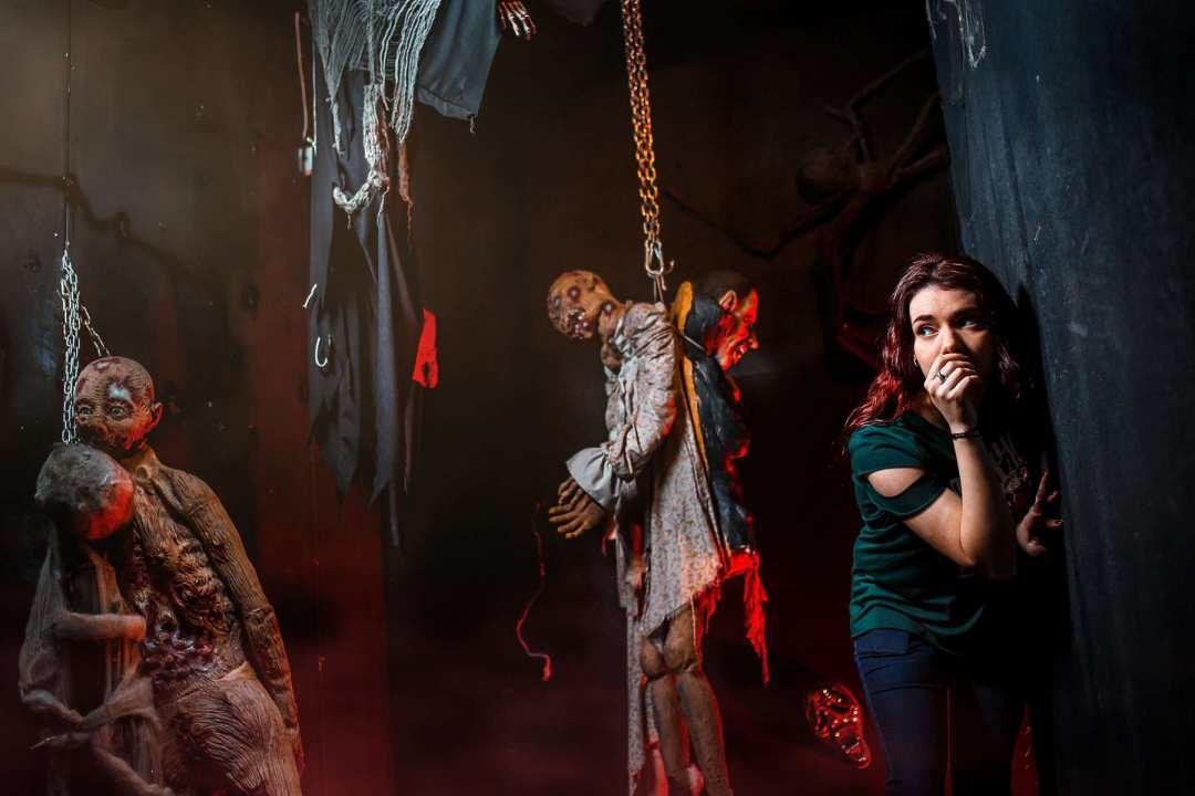 Maze of Fear and Mirror Maze