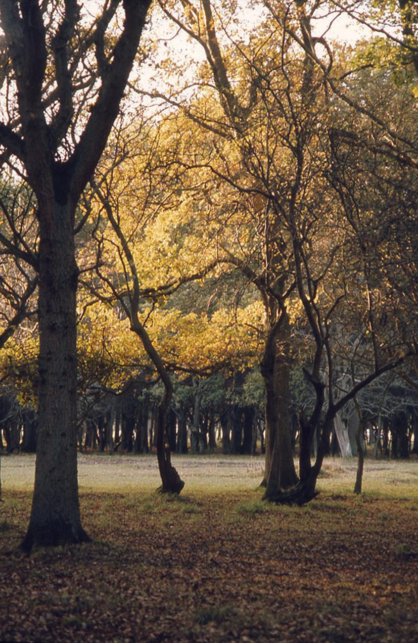 Cultural walking in and around Dublin
