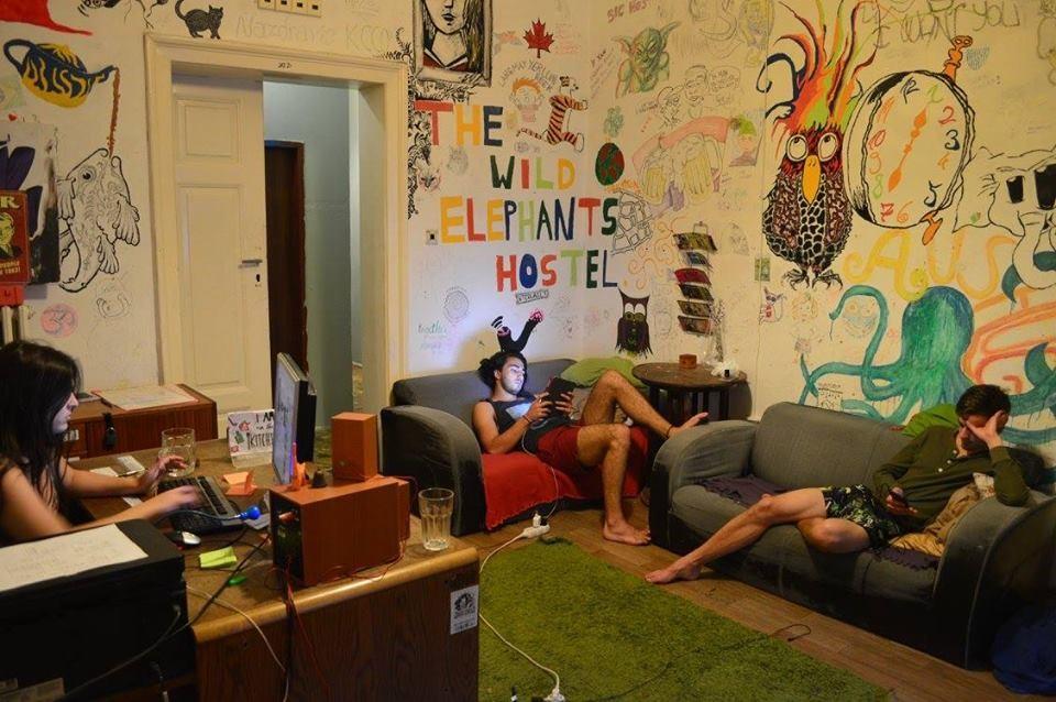 Wild Elephants Hostel